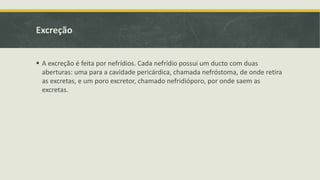 Excreção
 A excreção é feita por nefrídios. Cada nefrídio possui um ducto com duas
aberturas: uma para a cavidade pericárdica, chamada nefróstoma, de onde retira
as excretas, e um poro excretor, chamado nefridióporo, por onde saem as
excretas.
 