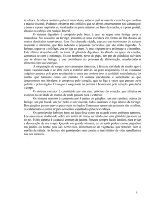 se a boca. A cabeça continua pelo pé musculoso, sobre o qual se assenta a concha, que contém
a massa visceral. Podemos observar três orifícios que se abrem externamente nos caramujos:
o ânus e o poro respiratório, localizados na parte anterior, na base da concha, e o poro genital,
situado na cabeça, em posição lateral.
        O sistema digestivo é composto pela boca, à qual se segue uma faringe curta e
musculosa. No assoalho da faringe, encontra-se uma estrutura em forma de fita dotada de
muitos dentículos transversais. Essa fita chamada rádula, executa um movimento de vaivém
raspando o alimento, que fica reduzido a pequenas partículas, que são então ingeridas. À
faringe, segue-se o esôfago, que se liga ao papo. A este, seguem-se o estômago e o intestino.
Este último desembocando no ânus. A glândula digestiva, localizada no ápice da concha,
comunica-se com o estômago. Existe também, perto do papo, um par de glândulas salivares
que se abrem na faringe, e que contribuem no processo de alimentação, umedecendo o
alimento com sua secreção.
        A oxigenação do sangue, nos caramujos terrestres, é feita na cavidade do manto, que é
muito vascularizada e se abre para o exterior através do poro respiratório. O ar, contendo
oxigênio penetra pelo poro respiratório e entra em contato com a cavidade vascularizada do
manto, que funciona como um pulmão. O sistema circulatório é semelhante ao que
descrevemos nos bivalvos: é composto pelo coração, que se liga a vasos que passam pelo
pulmão e pelos órgãos. O sangue é oxigenado no pulmão e bombeado pelo coração, para todo
o corpo.
        O sistema excretor é constituído por um rim, próximo do coração, que elimina os
excretas na cavidade do manto, de onde passam para o exterior.
        Os sistema nervoso é composto por 4 partes de gânglios: um par cerebral, acima da
faringe, um par bucal, um par pedal e um visceral, todos próximos e logo abaixo da faringe.
Dos gânglios partem nervos para todos os órgãos. Estruturas sensoriais presentes são os olhos,
os estatocistos e outros órgãos sensoriais espalhados pelo pé e cabeça.
        Os gastrópodes habitam tanto na água doce como na salgada como ambiente terrestre.
Locomovem-se deslizando sobre um rastro de muco secretado por uma glândula presente na
no pé. Helix aspersa é o caracol comum de jardim. Procura sempre locais úmidos, para evitar
a dessecação de seu corpo. Quando em grande número, os caracóis podem causar prejuízos
em jardins ou hortas pois são herbívoros, alimentam-se de vegetação, que trituram com o
auxílio da rádula. As lesmas são gastrópodes sem concha e tem hábitos de vida semelhantes
aos dos caracóis.




                                                                                            11
 