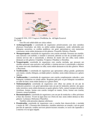 Este filo está subdividido em várias ordens:
• Archaeogastropoda: é constituída de organismos primitivamente com dois ctenídios
  plumosos bisseriados; um deles ou ambos podem desaparecer, sendo substituídos por
  brânquias acessórias; os cordões pedálicos, em geral, apresentam-se com numerosos
  comissuras; nesta ordem destacam-se três gêneros: Fissurella, Haliotis e Pastella.
• Mesogastropoda: constituída de organismos com concha enrolada. Possuem um ctenídio,
  uma aurícula e um nefrídio; o ctenídio é unisseral, aderente ao teto da cavidade paleal; o
  sistema nervoso não é concentrado; a abertura do manto não tem sifão; nesta ordem
  destacam-se três gêneros: Crepidula, Viviparus ( Paludina ) e Strombus.
• Neogastropoda: constituída de organismos com concha enrolada, que possuem um
  ctenídio unisseral, uma aurícula e um nefrídio; o sistema nervoso é concentrado; a abertura
  do manto tem uma chanfradura ou sifão; nesta ordem destacam-se de dois gêneros: Murex
  e Buccinum.
• Tectibranchia: é constituída de organismos que apresentam cabeça grande; geralmente
  com manto, concha ,brânquia, cavidade paleal e ctenídeo; nesta ordem destaca-se o gênero
  Aplysia.
• Nudibranchia: é constituída de organismos com concha completamente reduzida e sem
  brânquias verdadeiras no estado adulto. Respiram pela pele ou por brânquias secundárias
  ao redor do ânus; nesta ordem destaca-se o gênero Doris.
• Stulommatophora: constituída de organismos com olhos nas pontas de um par de
  tentáculos posterior e em geral apresentam mais um par de tentáculos anterior; são quase
  todos terrestres; nesta ordem destacam-se quatro gêneros: helix, caracol europeu de jardim;
  Ariolimax, lesmax, lesmas com concha vestigial no manto; Arion, lesmas sem concha;
  Gonaxis, caracol predador.
• Basommatophora: constituída de organismos com um par de tentáculos e olhos próximos
  à base dos mesmos. Vivem na água doce ou à beira do mar; nesta ordem destaca-se dois
  gêneros: Lymnaea e Helisoma ( Planorbis).
       Também estão presentes algumas subclasses:
• Prosobrachia: constituída de organismos com a concha bem desenvolvida e enrolada
  ( torção de 180o ). Possuem dois tentáculos; ctenídios anteriores ao coração; o pé em geral
  provido de opérculo; cordões nervosos pleuroviscerais cruzados; os sexos são separados e
  a maioria vive na água salgada.

                                                                                         12
 