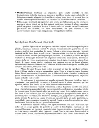 • Opisthobranchia: constituída de organismos com concha achatada ou mais
  freqüentemente reduzida, interna ou ausente, o ctenídeo é muitas vezes substituído por
  brânquias acessórias, dispostas em duas filas dorsais ou numa roseta em volta de ânus; os
  cordões nervosos pleuroviscerais não são cruzados; são todos hermafroditas e marinhos.
• Pulmonata: é constituída de organismos com concha enrolada em uma espiral simples ou
  ausente; a cabeça possui um ou dois pares de tentáculos e um par de olhos; a cavidade
  paleal não possui brânquias e seu teto é transformado em pulmão; os cordões nervosos
  pluviscerais não cruzados, são todos hermafroditas, em geral ovíparos e com
  desenvolvimento direto; vivem na água doce e principalmente na terra.




Reprodução dos filos: Pelecypoda e Gastrópoda

        O aparelho reprodutor dos pelecípodos é bastante simples: é constituído por um par de
gônadas, localizadas na massa visceral. As gônadas possuem um duto, que termina no poro
genital, o qual se abre na cavidade do manto. Embora os sexos sejam separados ( animais
dióticos) não há dimorfismo sexual externe. Espermatozóides e óvulos são eliminados na
cavidade do manto, de onde passam para água circulante. A fecundação é externa. O zigoto
resultante da fecundação desenvolve-se, originando uma forma larval ciliada, denominada
véliger. As larvas véliger apresentam nas primeiras fase do desenvolvimento, natação livre.
Depois de algum tempo, porém, produzem uma pequena concha, as larvas afundam,
terminando seu desenvolvimento sobre o substrato. Transformam-se em jovens bivaldos, que
crescerão e mais tarde, reproduzir-se-ão.
        Alguns bivaldos de água doce podem apresentar um tipo de reprodução diferente
deste. A fêmea incuba os ovos na sua cavidade palial. Estes, aí se desenvolvem, formando
formas larvais denominadas gloquídios, que se libertam da mão e invadem brânquias de
peixes, onde terminam o seu desenvolvimento. Abandonam então as brânquias do hospedeiro
e caem ao fundo, onde viverão.
        Os gastrópodes já apresentam um aparelho reprodutor bem mais complexos que os
pelecípodos. Nos gastrópodes terrestres o desenvolvimento é direto, enquanto que nos
aquáticos, existem duas formas larvais, sendo o desenvolvimento indireto.
        No interior da massa visceral, normalmente no ápice da concha, encontra-se a gônada
única e hermafrodita, que produz óvulos e espermatozóides, sendo por isso chamada ovoteste.
Do ovoteste, parte do duto hermafrodita, que se abre na câmara de fecundação; desta partem
dois dutos: o duto deferente, que leva o espermatozóide até o poro genital comum, onde se
encontra o pênis, e o oviduto, que desemboca na vagina, que, que por sua vez, abre-se no poro
genital comum. Na porção da vagina próximo ao ouviduto, parte um duto, que forma, na
extremidade, a espermateca ou receptáculo seminal. Anexa ao aparelho reprodutor na altura
da câmara de fecundação, abre-se a glândula albuminosa.
        A reprodução sexuada começa com aproximadamente dos dois indivíduos, que
justapõem os pores genital do parceiro e ocorre a transferência recíproca de um
espermetóforo, que é um pacote de espermatozóides. Os parceiros então se separam. Em cada
um deles, os espermatozóides vão à espermateca, onde ficam armazenadas. Enquanto isso, o
ovoteste produz óvulos, que caminha pele duto hermafrodita até a câmara de fecundação. Os


                                                                                         13
 