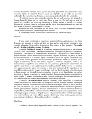ancestral de simetria bilateral, talvez, a partir de formas planulóides dos celenterados ou de
ancestrais destes. O ancestral bilateral deve ter originado, de um lado, os ancestrais
acelomados dos platelmintos e, do outro, os ancestrais pseudocelomados dos nematodos.
         O sistema nervoso dos nematodos consiste de um anel nervoso, que circunda a
faringe, lançando alguns nervos curtos para frente e para trás. Do anel nervoso anterior,
partem os 2 cordões nervosos que percorrem as linhas laterais, o dorsal e o ventral.
Terminações nervosas ligam-se a algumas papilas táteis, dispostas usualmente ao redor da
boca, sendo os únicos órgãos sensoriais evidentes.
        O sistema excretor, é composto por um par de canais excretores, embora não existam
células-flama ou quaisquer estruturas típicas de excreção.
        É composta por várias ordens e suas ramificações que veremos a seguir:

Enoplida

         É uma ordem constituída de organismos geralmente longos, cilíndricos ou em forma
de cones, que possuem o esôfago dividido em duas partes; uma anterior muscular e uma
posterior glandular. Nesta ordem destacam-se dois gêneros e duas espécies: Trichinella
spiralis e Trichuris (Trichocephalus) Trichiura.
         A espécie Trichinella spiralis é formada de vermes muito pequenos; o macho mede
cerca de 1,5mm e a fêmea de 3 a 4mm de comprimento; distinguem-se dois tipos de triquinas:
a muscular - corresponde ao estado jovem e a intistinal - corresponde ao estado adulto. A
triquina intistinal vive no intestino delgado (duodeno e jejuno) do homem, do porco, do rato e
de outros mamíferos; aí se realiza a cópula, morrendo o macho em seguida e as fêmeas, que
são em maior número, penetram em maior número, penetram na parede do intestino, e dão
origem a numerosas larvas; estas larvas atingem a circulação sangüínea, fixam-se na
musculatura do hospedeiro, onde formam um cisto, dentro do qual crescem e se enrolam em
espiral; o cisto forma-se em seqüência de uma reação dos tecidos do hospedeiro e se calcifica
após alguns meses sem que a larva morra; se esta carne contaminada for ingerida por um
animal hospedeiro, os cistos chegam ao estômago, onde são dissolvidos pelo sulco digestivo e
as larvas postas em liberdade tornam-se adultas; ocorrem novas fecundações; os machos
morrem e as fêmeas, penetrando na parede intestinal, formam novas larvas, completando-se
assim o ciclo. O parasita no intestino produz enterites agudas com diarréia sanguinolenta; a
larva triquina muscular produz perturbações nervosas e emagrecimento.
         A espécie Trichuris trichiura, também conhecida como tricocéfalo, é formada de
vermes esbranquiçados, diferenciados em uma porção anterior filiforme contendo o esôfago e
uma porção posterior volumosa que contém o intestino e os órgãos genitais; o macho mede de
3 a 4 cm e a fêmea de 4 a 5 cm de comprimento. O anima adulto vive no intestino grosso do
homem, principalmente na porção do ceco, implantando-se na mucosa intestinal através da
porção afilada, onde se fixa e retira seu alimento. O homem ingere os ovos juntamente com a
alimentação e água; no intestino delgado a casca é digerida libertando o embrião que atinge o
ceco e se transforma em verme adulto; quando o hospedeiro é uma criança, pode provocar
uma anemia profunda com a diminuição dos globos vermelhos.

Rhabditida

       A ordem é constituída de organismos com o esôfago dividido em três regiões e com


                                                                                          18
 