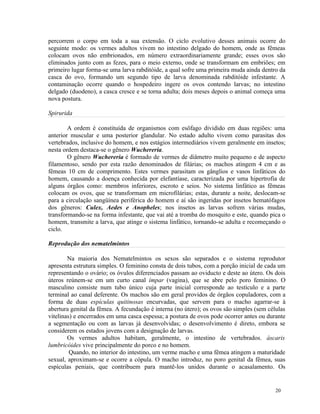 percorrem o corpo em toda a sua extensão. O ciclo evolutivo desses animais ocorre do
seguinte modo: os vermes adultos vivem no intestino delgado do homem, onde as fêmeas
colocam ovos não embrionados, em número extraordinariamente grande; esses ovos são
eliminados junto com as fezes, para o meio externo, onde se transformam em embriões; em
primeiro lugar forma-se uma larva rabditóide, a qual sofre uma primeira muda ainda dentro da
casca do ovo, formando um segundo tipo de larva denominada rabditóide infestante. A
contaminação ocorre quando o hospedeiro ingere os ovos contendo larvas; no intestino
delgado (duodeno), a casca cresce e se torna adulta; dois meses depois o animal começa uma
nova postura.

Spirurida

        A ordem é constituída de organismos com esôfago dividido em duas regiões: uma
anterior muscular e uma posterior glandular. No estado adulto vivem como parasitas dos
vertebrados, inclusive do homem, e nos estágios intermediários vivem geralmente em insetos;
nesta ordem destaca-se o gênero Wuchereria.
        O gênero Wuchereria é formado de vermes de diâmetro muito pequeno e de aspecto
filamentoso, sendo por esta razão denominados de filárias; os machos atingem 4 cm e as
fêmeas 10 cm de comprimento. Estes vermes parasitam os gânglios e vasos linfáticos do
homem, causando a doença conhecida por elefantíase, caracterizada por uma hipertrofia de
alguns órgãos como: membros inferiores, escroto e seios. No sistema linfático as fêmeas
colocam os ovos, que se transformam em microfilárias; estas, durante a noite, deslocam-se
para a circulação sangüínea periférica do homem e aí são ingeridas por insetos hematófagos
dos gêneros: Culex, Aedes e Anopheles; nos insetos as larvas sofrem várias mudas,
transformando-se na forma infestante, que vai até a tromba do mosquito e este, quando pica o
homem, transmite a larva, que atinge o sistema linfático, tornando-se adulta e recomeçando o
ciclo.

Reprodução dos nematelmintos

        Na maioria dos Nematelmintos os sexos são separados e o sistema reprodutor
apresenta estrutura simples. O feminino consta de dois tubos, com a porção inicial de cada um
representando o ovário; os óvulos diferenciados passam ao oviducto e deste ao útero. Os dois
úteros reúnem-se em um curto canal ímpar (vagina), que se abre pelo poro feminino. O
masculino consiste num tubo único cuja parte inicial corresponde ao testículo e a parte
terminal ao canal deferente. Os machos são em geral providos de órgãos copuladores, com a
forma de duas espículas quitinosas encurvadas, que servem para o macho agarrar-se à
abertura genital da fêmea. A fecundação é interna (no útero); os ovos são simples (sem células
vitelinas) e encerrados em uma casca espessa; a postura de ovos pode ocorrer antes ou durante
a segmentação ou com as larvas já desenvolvidas; o desenvolvimento é direto, embora se
considerem os estados jovens com a designação de larvas.
        Os vermes adultos habitam, geralmente, o intestino de vertebrados. àscaris
lumbricóides vive principalmente do porco e no homem.
         Quando, no interior do intestino, um verme macho e uma fêmea atingem a maturidade
sexual, aproximam-se e ocorre a cópula. O macho introduz, no poro genital da fêmea, suas
espículas peniais, que contribuem para mantê-los unidos durante o acasalamento. Os


                                                                                          20
 