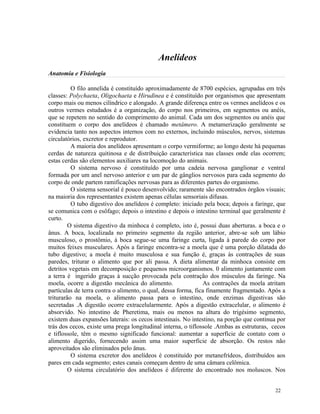 Anelídeos
Anatomia e Fisiologia

          O filo annelida é constituído aproximadamente de 8700 espécies, agrupadas em três
classes: Polychaeta, Oligochaeta e Hirudinea e é constituído por organismos que apresentam
corpo mais ou menos cilíndrico e alongado. A grande diferença entre os vermes anelídeos e os
outros vermes estudados é a organização, do corpo nos primeiros, em segmentos ou anéis,
que se repetem no sentido do comprimento do animal. Cada um dos segmentos ou anéis que
constituem o corpo dos anelídeos é chamado metâmero. A metamerização geralmente se
evidencia tanto nos aspectos internos com no externos, incluindo músculos, nervos, sistemas
circulatórios, excretor e reprodutor.
          A maioria dos anelídeos apresentam o corpo vermiforme; ao longo deste há pequenas
cerdas de natureza quitinosa e de distribuição característica nas classes onde elas ocorrem;
estas cerdas são elementos auxiliares na locomoção do animais.
          O sistema nervoso é constituído por uma cadeia nervosa ganglionar e ventral
formada por um anel nervoso anterior e um par de gânglios nervosos para cada segmento do
corpo de onde partem ramificações nervosas para as diferentes partes do organismo.
          O sistema sensorial é pouco desenvolvido; raramente são encontrados órgãos visuais;
na maioria dos representantes existem apenas células sensoriais difusas.
          O tubo digestivo dos anelídeos é completo: iniciado pela boca; depois a faringe, que
se comunica com o esôfago; depois o intestino e depois o intestino terminal que geralmente é
curto.
         O sistema digestivo da minhoca é completo, isto é, possui duas aberturas. a boca e o
ânus. A boca, localizada no primeiro segmento da região anterior, abre-se sob um lábio
musculoso, o prostômio, à boca segue-se uma faringe curta, ligada à parede do corpo por
muitos feixes musculares. Após a faringe encontra-se a moela que é uma porção dilatada do
tubo digestivo; a moela é muito musculosa e sua função é, graças às contrações de suas
paredes, triturar o alimento que por ali passa. A dieta alimentar da minhoca consiste em
detritos vegetais em decomposição e pequenos microorganismos. 0 alimento juntamente com
a terra é ingerido graças à sucção provocada pela contração dos músculos da faringe. Na
moela, ocorre a digestão mecânica do alimento.                 As contrações da moela atritam
partículas de terra contra o alimento, o qual, dessa forma, fica finamente fragmentado. Após a
triturarão na moela, o alimento passa para o intestino, onde enzimas digestivas são
secretadas .A digestão ocorre extracelularmente. Após a digestão extracelular, o alimento é
absorvido. No intestino de Pheretima, mais ou menos na altura do trigésimo segmento,
existem duas expansões laterais: os cecos intestinais. No intestino, na porção que continua por
trás dos cecos, existe uma prega longitudinal interna, o tiflossole .Ambas as estruturas, cecos
e tiflossole, têm o mesmo significado funcional: aumentar a superfície de contato com o
alimento digerido, fornecendo assim uma maior superfície de absorção. Os restos não
aproveitados são eliminados pelo ânus.
          O sistema excretor dos anelídeos é constituído por metanefrídeos, distribuídos aos
pares em cada segmento; estes canais começam dentro de uma câmara celômica.
         O sistema circulatório dos anelídeos é diferente do encontrado nos moluscos. Nos


                                                                                          22
 