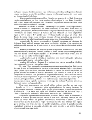 moluscos, o sangue abandona os vasos e cai em lacunas dos tecidos, sendo por isso chamado
sistema circulatório aberto. Nos anelídeos o sangue circula sempre dentro dos vasos, sendo
um sistema circulatório fechado.
          O sistema circulatório dos anelídeos é totalmente separado da cavidade do corpo e
consiste principalmente em dois vasos sangüíneos longitudinais; o vaso dorsal é contrátil;
pode ocorrer o desenvolvimento de mais vasos tanto longitudinais como transversais, o que
torna o sistema circulatório mais complexo.
         O sistema circulatório da minhoca ‚ composto por dois grandes vasos que percorrem o
animal no sentido do comprimento; um sobre o intestino, o vaso dorsal e um abaixo do
intestino, o vaso ventral. Existe também um vaso longitudinal menor que estes dois, que corre
ventralmente ao sistema nervoso e é chamado de vaso subneural. Os vasos longitudinais
ligam-se entre si através de 4 grandes vasos circulares situados um antes, um sobre e dois
depois da moela. Esses vasos circulares possuem elevada capacidade de contração e
funcionam como "corações”, que impulsionam o sangue pelo sistema circulatório.
          A respiração dos vermes segmentados é branquial ou cutânea; as brânquias são
órgãos de forma variável, servindo para retirar o oxigênio e eliminar o gás carbônico nos
anelídeos de vida aquática; nos de vida terrestre as trocas gasosas ocorrem diretamente através
da pele.
          Em relação ao habitat dos anelídeos podem ser aquáticos, marinhos ou de água doce
e terrestres vivendo em lugares sombrios, debaixo de pedras e folhas ou escavando galerias no
solo, onde passam a viver. Alguns anelídeos são de importância econômica, como o caso das
minhocas, que são usadas como iscas para a pesca.
          A classe Polychaeta é formada de organismos com o corpo alongado e cilíndrico
com segmentações externa e interna bem nítida.
          A classe Oligochaeta é formada de organismos com o corpo alongado e cilíndrico,
com segmentações externa e interna bem nítida.
         Na classe Oligochaeta estão agrupados organismos de corpo alongado e fino. 0 nome
da classe deve-se ao fato de existirem, nos seus representantes, poucos apêndices ou cerdas no
corpo. (oligos = pouco e chaete = cerdas). As minhocas comuns são animais terrestres e um
gênero bastante encontrado no Brasil é Pheretima, cujo tamanho é cerca de 10 cm de
comprimento. Lumbricus é um gênero muito freqüente na Europa e América do Norte e mede
cerca de 30 cm de comprimento. Megascolecides australis ‚ uma minhoca que vive em regiões
tropicais, principalmente na Austrália e pode medir mais de 2 metros de comprimento.
Descreveremos, neste capítulo, a anatomia e fisiologia da minhoca Pheretima, encontrada
facilmente na terra em lugares úmidos.
         Observando extremamente um animal adulto, podemos perceber que seu corpo
‚ formado por 85 a 95 segmentos, todos aproximadamente do mesmo tamanho. Se
numerarmos os segmentos a partir da região anterior, notaremos que, ocupando os segmentos
de número 14,15 e 16, existe uma região mais dilatada e mais clara que o resto do corpo, o
clitelo. A face superior do animal é normalmente mais escura que a face inferior.
         No primeiro segmento localiza-se a boca e, no último, abre-se o ânus. Externamente, a
minhoca é revestida por uma cutícula abaixo da qual esta a epiderme formada por uma
camada de células. Abaixo da epiderme encontrasse a musculatura do animal. A camada
muscular mais externa é circular ao corpo e a camada muscular mais interna é mais espessa
que a circular, com fibras dispostas no sentido longitudinal. Abaixo da camada muscular
longitudinal, revestindo a cavidade celomática do corpo, encontra-se um epitélio fino, de
origem mesodérmica, o peritônio.

                                                                                           23
 