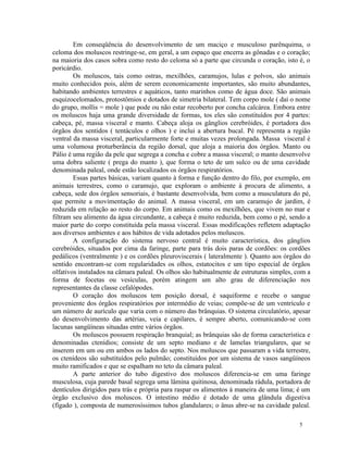 Em conseqüência do desenvolvimento de um maciço e musculoso parênquima, o
celoma dos moluscos restringe-se, em geral, a um espaço que encerra as gônadas e o coração;
na maioria dos casos sobra como resto do celoma só a parte que circunda o coração, isto é, o
poricárdio.
        Os moluscos, tais como ostras, mexilhões, caramujos, lulas e polvos, são animais
muito conhecidos pois, além de serem economicamente importantes, são muito abundantes,
habitando ambientes terrestres e aquáticos, tanto marinhos como de água doce. São animais
esquizocelomados, protostômios e dotados de simetria bilateral. Tem corpo mole ( daí o nome
do grupo, mollis = mole ) que pode ou não estar recoberto por concha calcárea. Embora entre
os moluscos haja uma grande diversidade de formas, tos eles são constituídos por 4 partes:
cabeça, pé, massa visceral e manto. Cabeça aloja os gânglios cerebróides, é portadora dos
órgãos dos sentidos ( tentáculos e olhos ) e inclui a abertura bucal. Pé representa a região
ventral da massa visceral, particularmente forte e muitas vezes prolongada. Massa visceral é
uma volumosa proturberância da região dorsal, que aloja a maioria dos órgãos. Manto ou
Pálio é uma região da pele que segrega a concha e cobre a massa visceral; o manto desenvolve
uma dobra saliente ( prega do manto ), que forma o teto de um sulco ou de uma cavidade
denominada paleal, onde estão localizados os órgãos respiratórios.
        Essas partes básicas, variam quanto à forma e função dentro do filo, por exemplo, em
animais terrestres, como o caramujo, que exploram o ambiente à procura de alimento, a
cabeça, sede dos órgãos sensoriais, é bastante desenvolvida, bem como a musculatura do pé,
que permite a movimentação do animal. A massa visceral, em um caramujo de jardim, é
reduzida em relação ao resto do corpo. Em animais como os mexilhões, que vivem no mar e
filtram seu alimento da água circundante, a cabeça é muito reduzida, bem como o pé, sendo a
maior parte do corpo constituída pela massa visceral. Essas modificações refletem adaptação
aos diversos ambientes e aos hábitos de vida adotados pelos moluscos.
        A configuração do sistema nervoso central é muito característica, dos gânglios
cerebróides, situados por cima da faringe, parte para trás dois paras de cordões: os cordões
pedálicos (ventralmente ) e os cordões pleuroviscerais ( lateralmente ). Quanto aos órgãos do
sentido encontram-se com regularidades os olhos, estatocitos e um tipo especial de órgãos
olfativos instalados na câmara paleal. Os olhos são habitualmente de estruturas simples, com a
forma de focetas ou vesículas, porém atingem um alto grau de diferenciação nos
representantes da classe cefalópodes.
        O coração dos moluscos tem posição dorsal, é saquiforme e recebe o sangue
proveniente dos órgãos respiratórios por intermédio de veias; compõe-se de um ventrículo e
um número de aurículo que varia com o número das brânquias. O sistema circulatório, apesar
do desenvolvimento das artérias, veia e capilares, é sempre aberto, comunicando-se com
lacunas sangüíneas situadas entre vários órgãos.
        Os moluscos possuem respiração branquial; as brânquias são de forma característica e
denominadas ctenídios; consiste de um septo mediano e de lamelas triangulares, que se
inserem em um ou em ambos os lados do septo. Nos moluscos que passaram a vida terrestre,
os ctenídeos são substituídos pelo pulmão; constituídos por um sistema de vasos sangüíneos
muito ramificados e que se espalham no teto da câmara paleal.
        A parte anterior do tubo digestivo dos moluscos diferencia-se em uma faringe
musculosa, cuja parede basal segrega uma lâmina quitinosa, denominada rádula, portadora de
dentículos dirigidos para trás e própria para raspar os alimentos á maneira de uma lima; é um
órgão exclusivo dos moluscos. O intestino médio é dotado de uma glândula digestiva
(fígado ), composta de numerosíssimos tubos glandulares; o ânus abre-se na cavidade paleal.

                                                                                          5
 