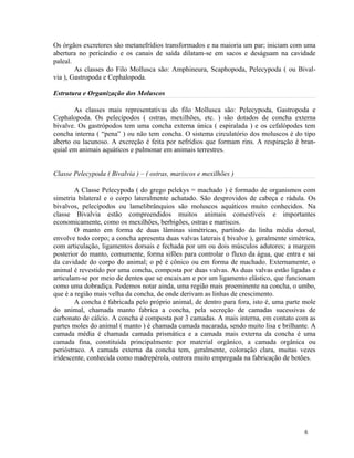 Os órgãos excretores são metanefrídios transformados e na maioria um par; iniciam com uma
abertura no pericárdio e os canais de saída dilatam-se em sacos e deságuam na cavidade
paleal.
        As classes do Filo Mollusca são: Amphineura, Scaphopoda, Pelecypoda ( ou Bival-
via ), Gastropoda e Cephalopoda.

Estrutura e Organização dos Moluscos

       As classes mais representativas do filo Mollusca são: Pelecypoda, Gastropoda e
Cephalopoda. Os pelecípodos ( ostras, mexilhões, etc. ) são dotados de concha externa
bivalve. Os gastrópodos tem uma concha externa única ( espiralada ) e os cefalópodes tem
concha interna ( “pena” ) ou não tem concha. O sistema circulatório dos moluscos é do tipo
aberto ou lacunoso. A excreção é feita por nefrídios que formam rins. A respiração é bran-
quial em animais aquáticos e pulmonar em animais terrestres.


Classe Pelecypoda ( Bivalvia ) – ( ostras, mariscos e mexilhões )

        A Classe Pelecypoda ( do grego pelekys = machado ) é formado de organismos com
simetria bilateral e o corpo lateralmente achatado. São desprovidos de cabeça e rádula. Os
bivalvos, pelecípodos ou lamelibrânquios são moluscos aquáticos muito conhecidos. Na
classe Bivalvia estão compreendidos muitos animais comestíveis e importantes
economicamente, como os mexilhões, berbigões, ostras e mariscos.
        O manto em forma de duas lâminas simétricas, partindo da linha média dorsal,
envolve todo corpo; a concha apresenta duas valvas laterais ( bivalve ), geralmente simétrica,
com articulação, ligamentos dorsais e fechada por um ou dois músculos adutores; a margem
posterior do manto, comumente, forma sifões para controlar o fluxo da água, que entra e sai
da cavidade do corpo do animal; o pé é cônico ou em forma de machado. Externamente, o
animal é revestido por uma concha, composta por duas valvas. As duas valvas estão ligadas e
articulam-se por meio de dentes que se encaixam e por um ligamento elástico, que funcionam
como uma dobradiça. Podemos notar ainda, uma região mais proeminente na concha, o umbo,
que é a região mais velha da concha, de onde derivam as linhas de crescimento.
        A concha é fabricada pelo próprio animal, de dentro para fora, isto é, uma parte mole
do animal, chamada manto fabrica a concha, pela secreção de camadas sucessivas de
carbonato de cálcio. A concha é composta por 3 camadas. A mais interna, em contato com as
partes moles do animal ( manto ) é chamada camada nacarada, sendo muito lisa e brilhante. A
camada média é chamada camada prismática e a camada mais externa da concha é uma
camada fina, constituída principalmente por material orgânico, a camada orgânica ou
perióstraco. A camada externa da concha tem, geralmente, coloração clara, muitas vezes
iridescente, conhecida como madrepérola, outrora muito empregada na fabricação de botões.




                                                                                          6
 