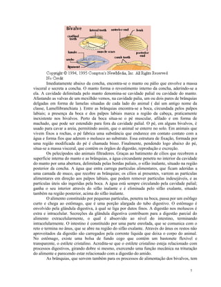 Imediatamente abaixo da concha, encontra-se o manto ou pálio que envolve a massa
visceral e secreta a concha. O manto forma o revestimento interno da concha, aderindo-se a
ela. A cavidade delimitada pelo manto denomina-se cavidade palial ou cavidade do manto.
Afastando as valvas de um mexilhão vemos, na cavidade palia, um ou dois pares de brânquias
delgadas em forma de lamelas situadas de cada lado do animal ( daí um antigo nome da
classe, Lamellibranchiata ). Entre as brânquias encontra-se a boca, circundada pelos palpos
labiais; a presença da boca e dos palpos labiais marca a região da cabeça, praticamente
inexistente nos bivalvos. Perto da boca situa-se o pé muscular, afilado e em forma de
machado, que pode ser estendido para fora da cavidade palial. O pé, em alguns bivalvos, é
usado para cavar a areia, permitindo assim, que o animal se enterre no solo. Em animais que
vivem fixos a rochas, o pé fabrica uma substância que endurece em contato contato com a
água e forma fios que aderem o molusco ao substrato. Essa estrutura de fixação, formada por
uma região modificada do pé é chamada bisso. Finalmente, pendendo logo abaixo do pé,
situa-se a massa visceral, que contém os órgãos de digestão, reprodução e excreção.
        Os pelecípodos são animais filtradores. Graças ao batimento de cílios que recobrem a
superfície interna do manto e as brânquias, a água circundante penetra no interior da cavidade
do manto por uma abertura, delimitada pelas bordas paliais, o sifão inalante, situado na região
posterior da concha. A água que entra carrega partículas alimentares, que ficam aderidas a
uma camada de muco, que recobre as brânquias; os cílios aí presentes, varrem as partículas
alimentares em direção aos palpos labiais, que podem remover partículas indesejáveis, e as
partículas úteis são ingeridas pela boca. A água está sempre circulando pela cavidade palial;
ganha o seu interior através do sifão inalante e é eliminada pelo sifão exalante, situado
também na região posterior, acima do sifão inalante.
        O alimento constituído por pequenas partículas, penetra na boca, passa por um esôfago
curto e chega ao estômago, que é uma porção alargada do tubo digestivo. O estômago é
envolvido pela glândula digestiva, à qual se liga por dutos finos. A digestão nos moluscos é
extra e intracelular. Secreções da glândula digestiva contribuem para a digestão parcial do
alimento extracelularmente, o qual é absorvido ao nível do intestino, terminando
intracelularmente. O intestino é constituído por uma parte enrolada, que se comunica com o
reto e termina no ânus, que se abre na região do sifão exalante. Através do ânus os restos não
aproveitados da digestão são carregados pela corrente líquida que deixa o corpo do animal.
No estômago, existe uma bolsa de fundo cego que contém um bastonete flexível e
transparente, o estilete cristalino. Acredita-se que o estilete cristalino esteja relacionado com
processos digestivos, girando dobre si mesmo, exercendo uma função mecânica na trituração
do alimente e parecendo estar relacionado com a digestão do amido.
        As brânquias, que servem também para os processos de alimentação dos bivalvos, tem

                                                                                            7
 