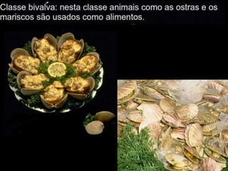 Apresentação sobre Moluscos 