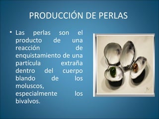 PRODUCCIÓN DE PERLAS
• Las perlas son el
producto de una
reacción de
enquistamiento de una
partícula extraña
dentro del cuerpo
blando de los
moluscos,
especialmente los
bivalvos.
 