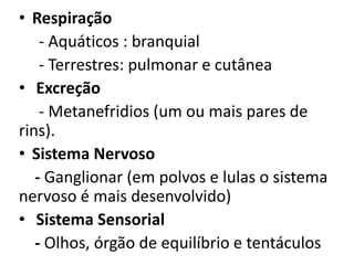 • Respiração
    - Aquáticos : branquial
    - Terrestres: pulmonar e cutânea
• Excreção
    - Metanefridios (um ou mais pares de
rins).
• Sistema Nervoso
   - Ganglionar (em polvos e lulas o sistema
nervoso é mais desenvolvido)
• Sistema Sensorial
   - Olhos, órgão de equilíbrio e tentáculos
 