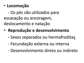 • Locomoção
   - Os pés são utilizados para
escavação ou ancoragem,
deslocamento e natação
• Reprodução e desenvolvimento
   - Sexos separados ou hermafroditas̻
   - Fecundação externa ou interna
   - Desenvolvimento direto ou indireto
 