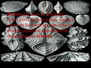 Bivalvia  (do latim  bi , duplicado +  valva , porta de duas folhas, valva),a classe do filo mollusca que inclui os animais aquáticos popularmente designados por  bivalves . 