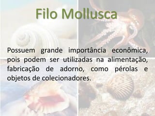 Filo Mollusca

Possuem grande importância econômica,
pois podem ser utilizadas na alimentação,
fabricação de adorno, como pérolas e
objetos de colecionadores.
 