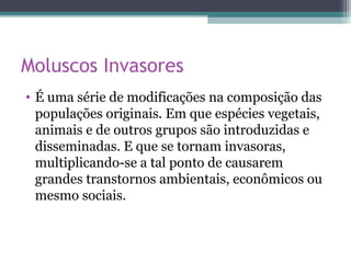 Moluscos Invasores
• É uma série de modificações na composição das
populações originais. Em que espécies vegetais,
animais e de outros grupos são introduzidas e
disseminadas. E que se tornam invasoras,
multiplicando-se a tal ponto de causarem
grandes transtornos ambientais, econômicos ou
mesmo sociais.
 