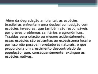  Além da degradação ambiental, as espécies 
brasileiras enfrentam uma desleal competição com 
espécies invasoras, que também são responsáveis 
por graves problemas sanitários e agronômicos. 
Trazidas para criação ou mesmo acidentalmente, 
essas espécies são estranhas ao ecossistema local e 
por isso não possuem predadores naturais, o que 
proporciona um crescimento descontrolado da 
população, que, consequentemente, extingue as 
espécies nativas.
 