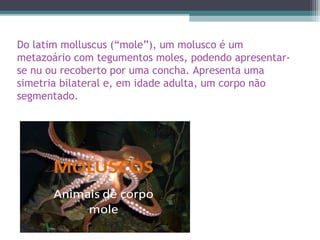 Do latim molluscus (“mole”), um molusco é um
metazoário com tegumentos moles, podendo apresentar-
se nu ou recoberto por uma concha. Apresenta uma
simetria bilateral e, em idade adulta, um corpo não
segmentado.
 