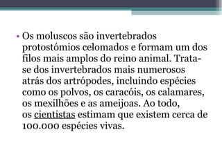 • Os moluscos são invertebrados
protostómios celomados e formam um dos
filos mais amplos do reino animal. Trata-
se dos invertebrados mais numerosos
atrás dos artrópodes, incluindo espécies
como os polvos, os caracóis, os calamares,
os mexilhões e as ameijoas. Ao todo,
os cientistas estimam que existem cerca de
100.000 espécies vivas.
 