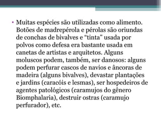 • Muitas espécies são utilizadas como alimento.
Botões de madrepérola e pérolas são oriundas
de conchas de bivalves e “tinta” usada por
polvos como defesa era bastante usada em
canetas de artistas e arquitetos. Alguns
moluscos podem, também, ser danosos: alguns
podem perfurar cascos de navios e âncoras de
madeira (alguns bivalves), devastar plantações
e jardins (caracóis e lesmas), ser hospedeiros de
agentes patológicos (caramujos do gênero
Biomphalaria), destruir ostras (caramujo
perfurador), etc.
 