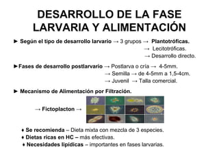 Moluscos y Crustáceos | PPT