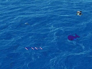 Presentación moluscos y equinodermos.pdf