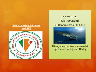 ASSALAMU’ALAIKUM
WR.WB
MOLLUSCA
Di susun oleh
Cici lismayanti
XI Keperawatan SMK DPI
Di anjurkan untuk memenuhi
tugas mata pelajaran Biologi
 