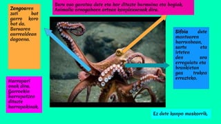 Sifoia dute
mantuaren
barrunbean,
sartu eta
irteten
den ura
erregulatu eta
brankietan
gas trukea
errazteko.
Buru oso garatua dute eta hor dituzte burmuina eta begiak.
Animalia ornogabeen artean konplexuenak dira.Zangoaren
zati bat
garro koro
bat da.
Buruaren
aurrealdean
dagoena.
Harrapari
onak dira.
Garroekin
harrapatzen
dituzte
harrapakinak.
Ez dute kanpo maskorrik.
 