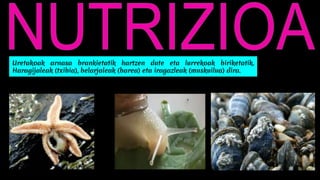 Uretakoak arnasa brankietatik hartzen dute eta lurrekoak biriketatik.
Haragijaleak (txibia), belarjaleak (barea) eta iragazleak (muskuilua) dira.
 