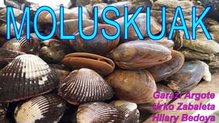 MOLUSKUAK 1B