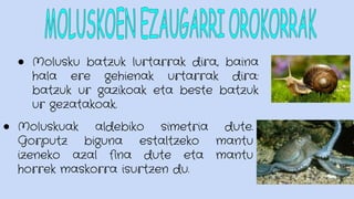 ● Molusku batzuk lurtarrak dira, baina
hala ere gehienak urtarrak dira:
batzuk ur gazikoak eta beste batzuk
ur gezatakoak.
● Moluskuak aldebiko simetria dute.
Gorputz biguna estaltzeko mantu
izeneko azal fina dute eta mantu
horrek maskorra isurtzen du.
 