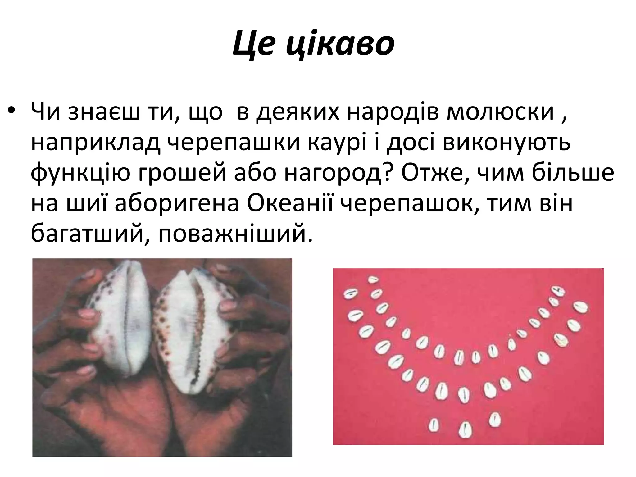 Це цікаво
• Чи знаєш ти, що в деяких народів молюски ,
наприклад черепашки каурі і досі виконують
функцію грошей або нагород? Отже, чим більше
на шиї аборигена Океанії черепашок, тим він
багатший, поважніший.
 