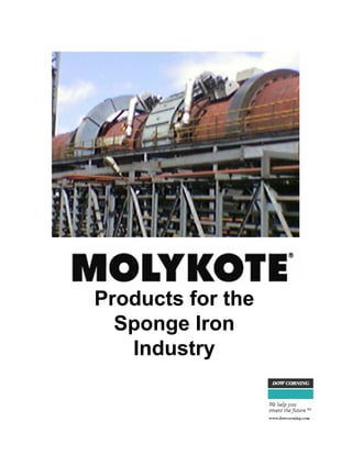 Products for the
  Sponge Iron
   Industry
 