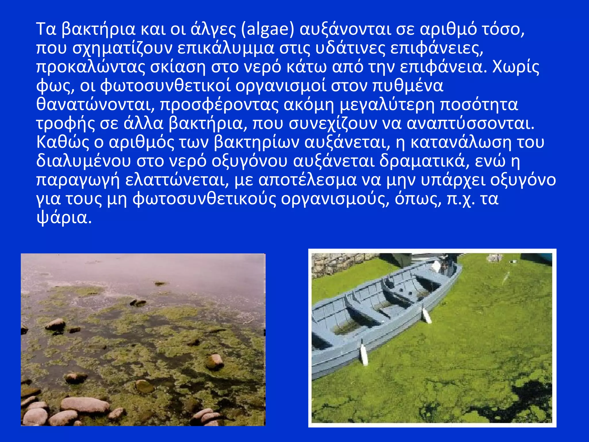Τα βακτήρια και οι άλγες (algae) αυξάνονται σε αριθμό τόσο,
που σχηματίζουν επικάλυμμα στις υδάτινες επιφάνειες,
προκαλώντας σκίαση στο νερό κάτω από την επιφάνεια. Χωρίς
φως, οι φωτοσυνθετικοί οργανισμοί στον πυθμένα
θανατώνονται, προσφέροντας ακόμη μεγαλύτερη ποσότητα
τροφής σε άλλα βακτήρια, που συνεχίζουν να αναπτύσσονται.
Καθώς ο αριθμός των βακτηρίων αυξάνεται, η κατανάλωση του
διαλυμένου στο νερό οξυγόνου αυξάνεται δραματικά, ενώ η
παραγωγή ελαττώνεται, με αποτέλεσμα να μην υπάρχει οξυγόνο
για τους μη φωτοσυνθετικούς οργανισμούς, όπως, π.χ. τα
ψάρια.
 