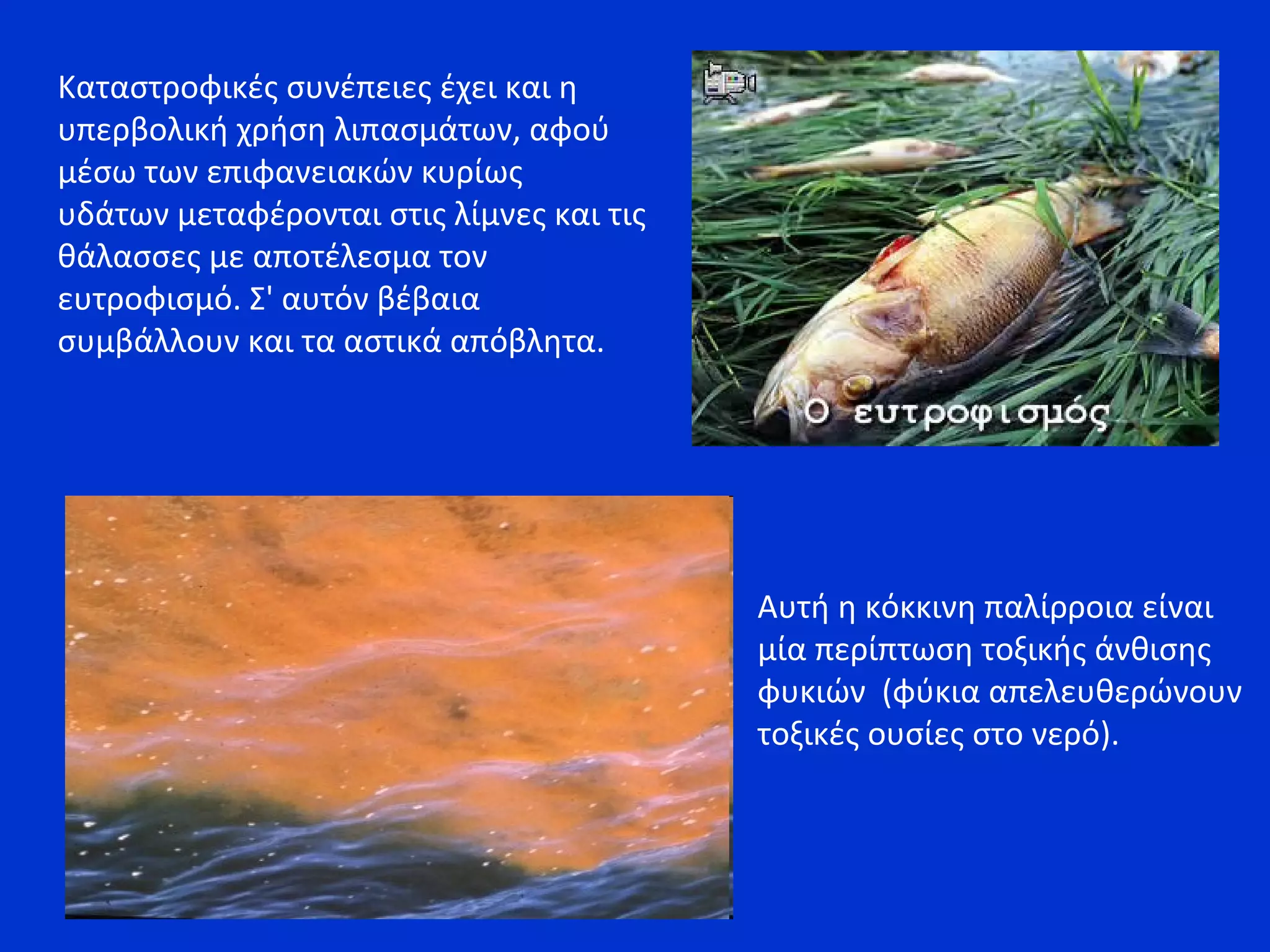 Καταστροφικές συνέπειες έχει και η
υπερβολική χρήση λιπασμάτων, αφού
μέσω των επιφανειακών κυρίως
υδάτων μεταφέρονται στις λίμνες και τις
θάλασσες με αποτέλεσμα τον
ευτροφισμό. Σ' αυτόν βέβαια
συμβάλλουν και τα αστικά απόβλητα.
Αυτή η κόκκινη παλίρροια είναι
μία περίπτωση τοξικής άνθισης
φυκιών (φύκια απελευθερώνουν
τοξικές ουσίες στο νερό).
 