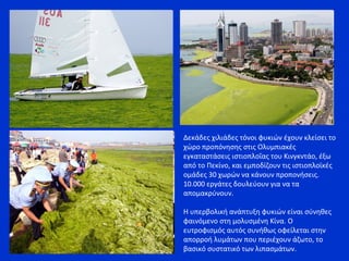 Δεκάδες χιλιάδες τόνοι φυκιών έχουν κλείσει το
χώρο προπόνησης στις Ολυμπιακές
εγκαταστάσεις ιστιοπλοΐας του Κινγκντάο, έξω
από το Πεκίνο, και εμποδίζουν τις ιστιοπλοϊκές
ομάδες 30 χωρών να κάνουν προπονήσεις.
10.000 εργάτες δουλεύουν για να τα
απομακρύνουν.
Η υπερβολική ανάπτυξη φυκιών είναι σύνηθες
φαινόμενο στη μολυσμένη Κίνα. Ο
ευτροφισμός αυτός συνήθως οφείλεται στην
απορροή λυμάτων που περιέχουν άζωτο, το
βασικό συστατικό των λιπασμάτων.
 