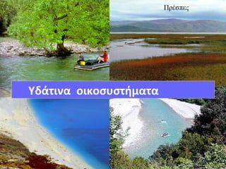 Υδάτινα οικοσυστήματα
 