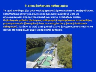 Τα υγρά απόβλητα (όχι μόνο τα βιομηχανικά λύματα) πρέπει να επεξεργάζονται
κατάλληλα με μηχανικές, χημικές και βιολογικές μεθόδους ώστε να
απομακρύνονται από το νερό επικίνδυνες για το περιβάλλον ουσίες.
Οι βιολογικές μέθοδοι (βιολογικός καθαρισμός) περιλαμβάνουν την προσθήκη
μικροοργανισμών (βακτηρίων) ώστε να επιταχύνεται η φυσική διαδικασία
καθαρισμού. Κατόπιν, το νερό αυτό μπορεί είτε να ξαναχρησιμοποιείται είτε να
φεύγει στο περιβάλλον χωρίς να προκαλεί ρύπανση.
Τι είναι βιολογικός καθαρισμός;
 