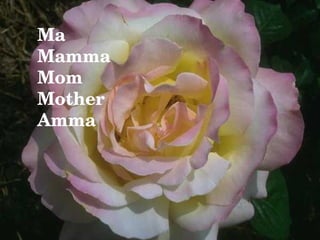 Ma Mamma Mom Mother Amma 
