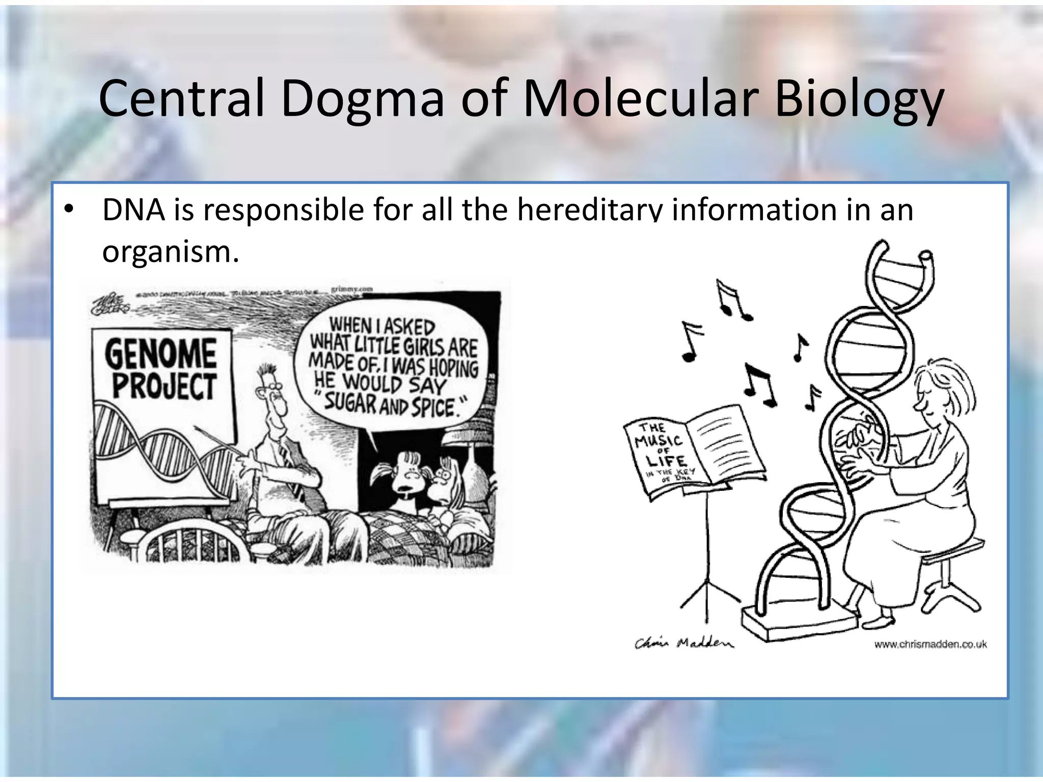 IntroductionWhat is Bioinformatics?Bioinformatics is the field of science in which biology, computer science, and information technology merge into a single disciplineBioinformatics is the electronic infrastructure of BiologyScience that encompasses the methods that are used to collect, store, retrieve, analyze, and correlate the mountain of complex biological information.Source: http://ccb.wustl.edu/