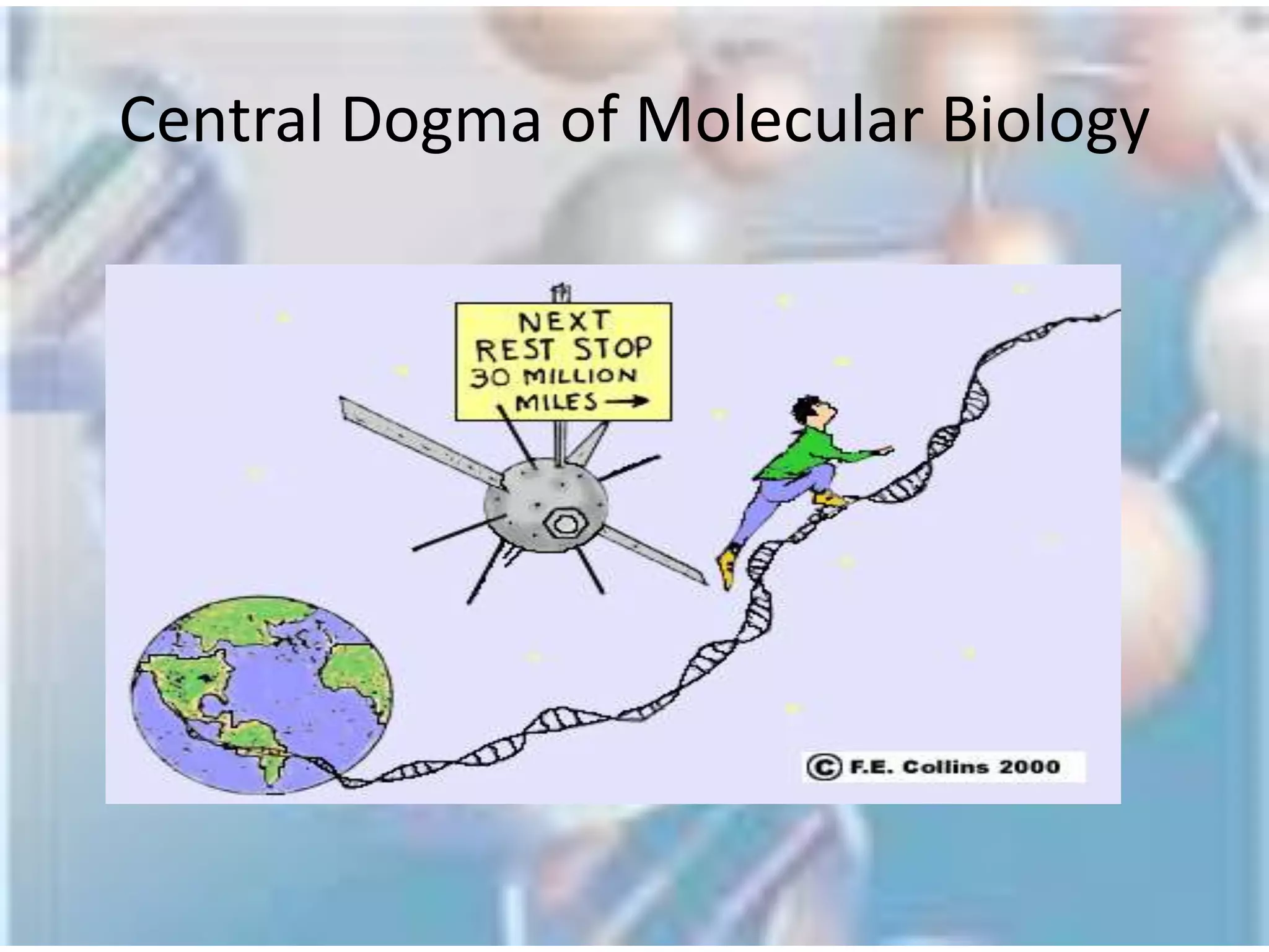 IntroductionBioinformatics Vs Computational biologySource: http://ccb.wustl.edu/