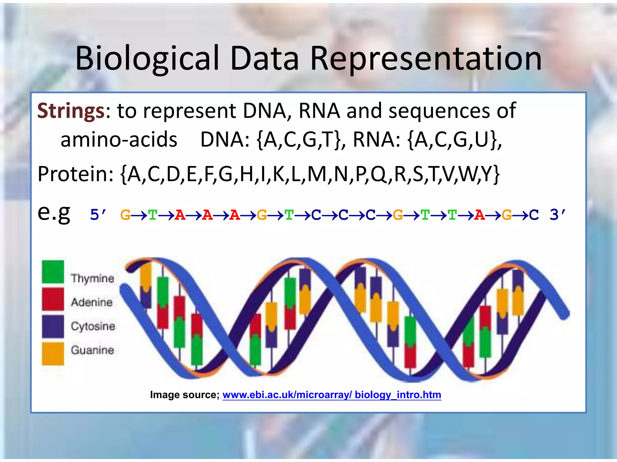 Deoxyribonucleic Acid (DNA)ReplicationReplicationChromosomes are located in the nucleus of a cell.  DNA must be duplicated in a process called replication before a cell divides.  The replication of DNA allows each daughter cell to contain a full complement of chromosomes.  