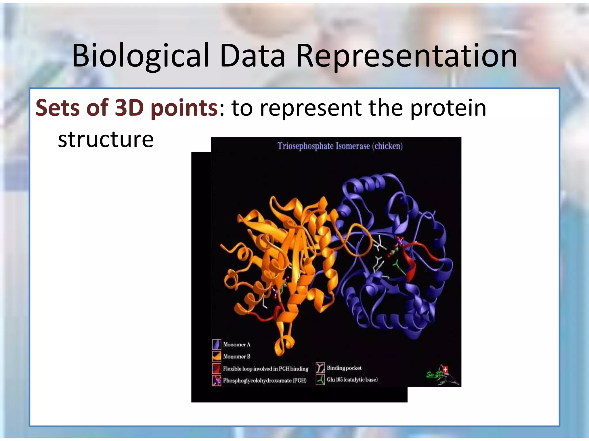 Deoxyribonucleic Acid (DNA)TranslationTranslation:The information from the DNA, now in the form of a linear RNA sequence, is decoded in a process called translation, to form a protein, another biological polymer.