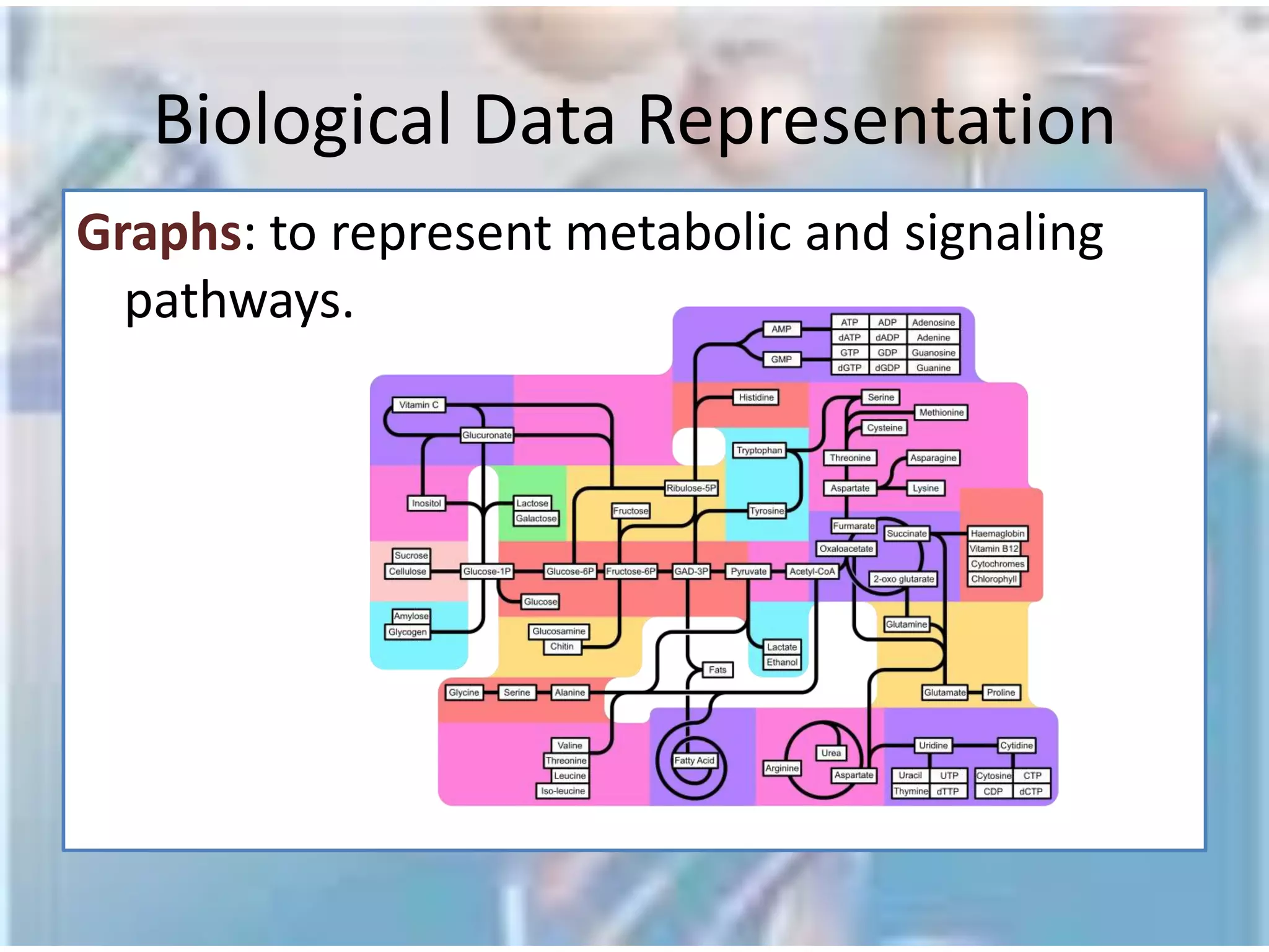 Biological Data Representation