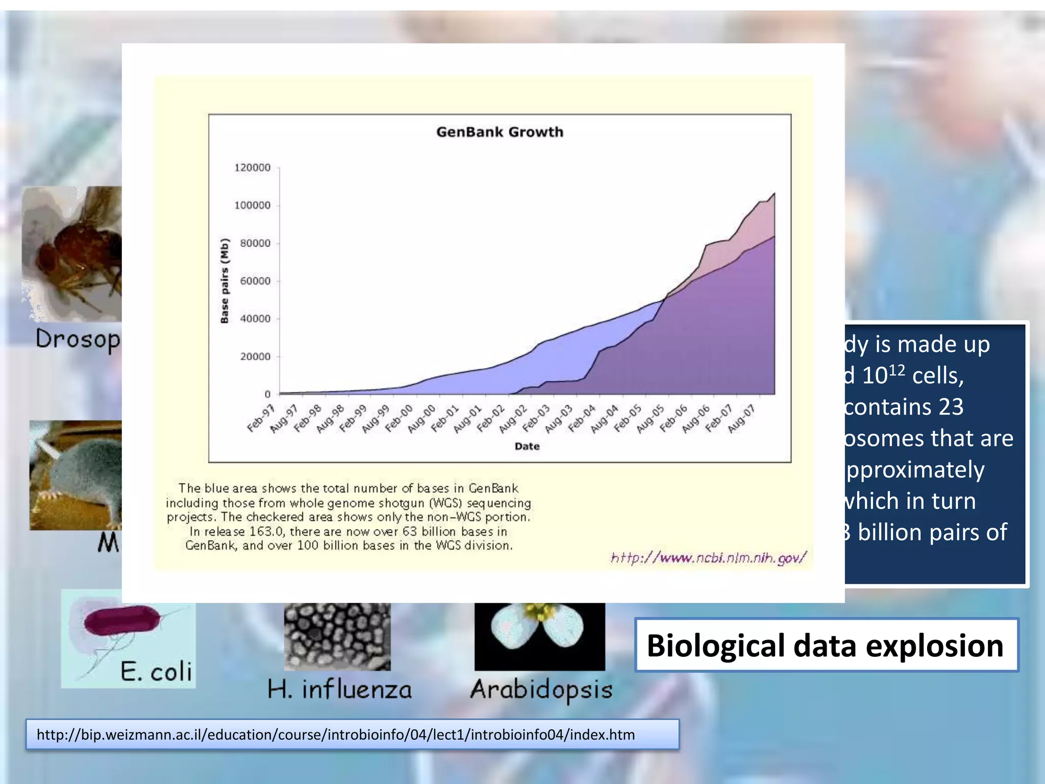   Central Dogma of Molecular Biology