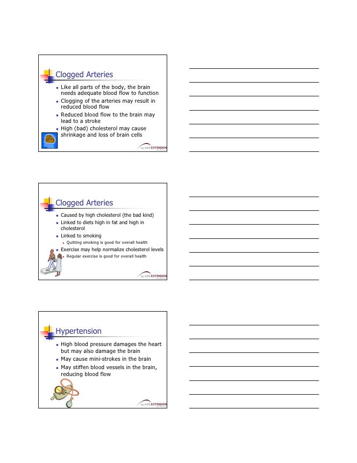 Master of Memory Class 3 Handout