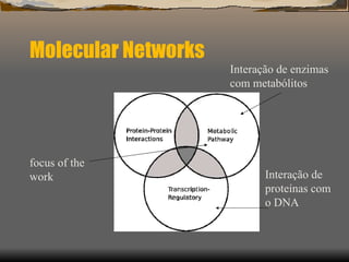 Molecular Networks focus of the work Interação de enzimas com metabólitos Interação de proteínas com o DNA 