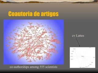 Coautoria de artigos co-authorships among 555 scientists  cv Lattes 