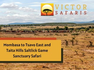 Mombasa to Tsavo East and
Taita Hills Saltlick Game
Sanctuary Safari
 