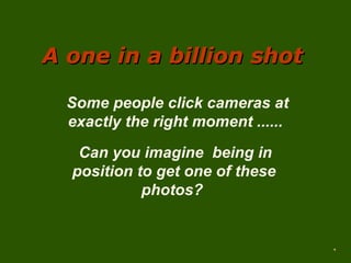 A one in a billion shot
Some people click cameras at
exactly the right moment ......
Can you imagine being in
position to get one of these
photos?

 