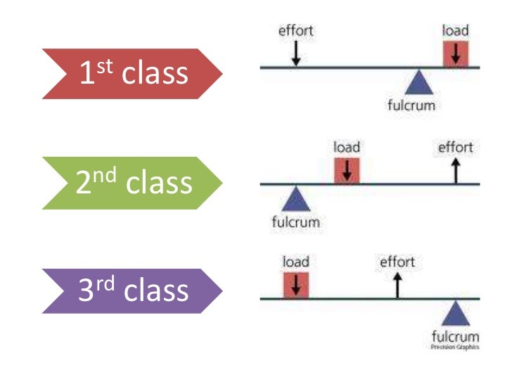 ️Law Of The Lever Worksheet Free Download Gambr.co