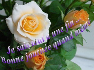 Je sais tout a une fin ... Bonne journée quand même.